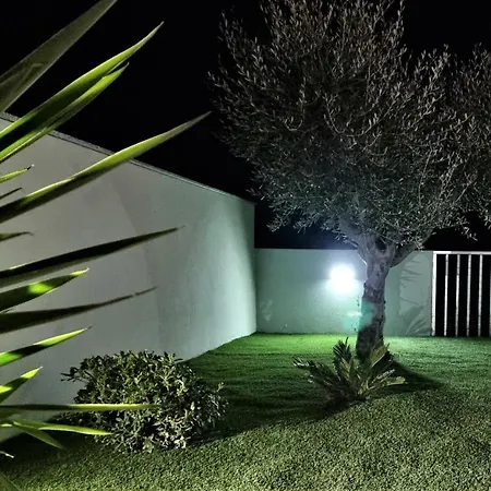 Luxury With Pool Privlaka (Zadar)