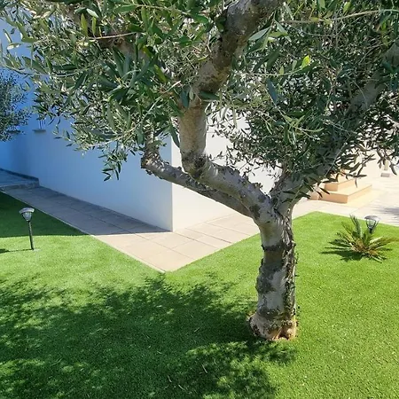 Luxury With Pool Privlaka (Zadar)